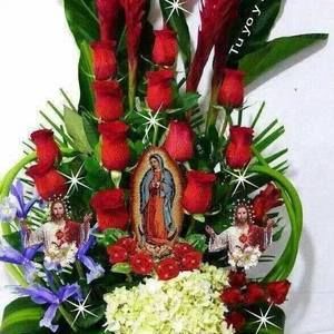 Meet your Posher, Jose